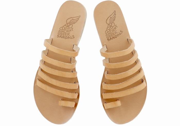 Sandales Toe-Post Ancient Greek Sandals Niki Leather   | WRV-6969461